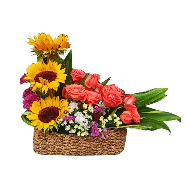 BASKET-A3