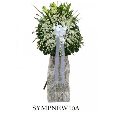 SYMPNEW10A...
