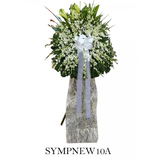 SYMPNEW10A