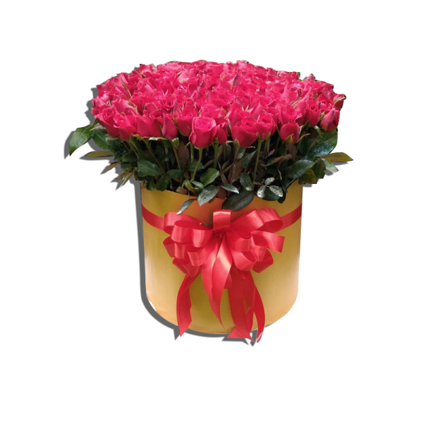 GOLDBOX-ROSES