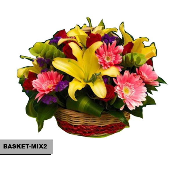 BASKET-MIX2