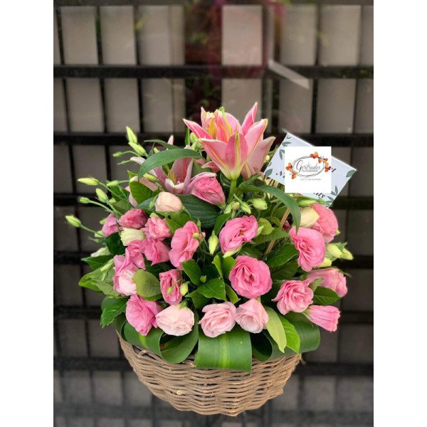 BASKET-30