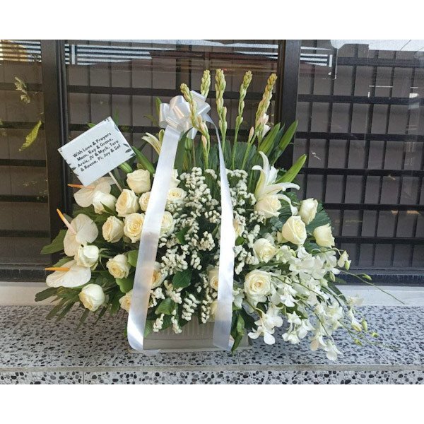 VASE-24