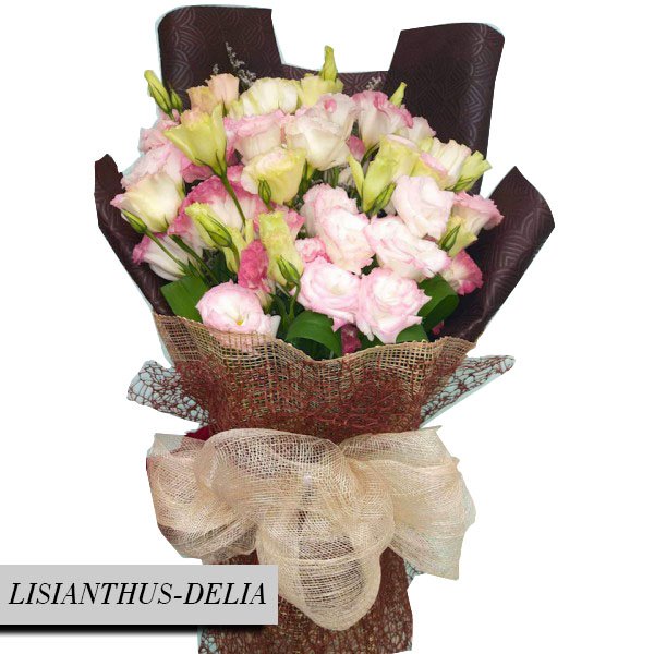 LISIANTHUS-DELIA