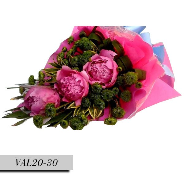 PEONIES-DANILA