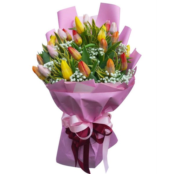 TULIPS-24