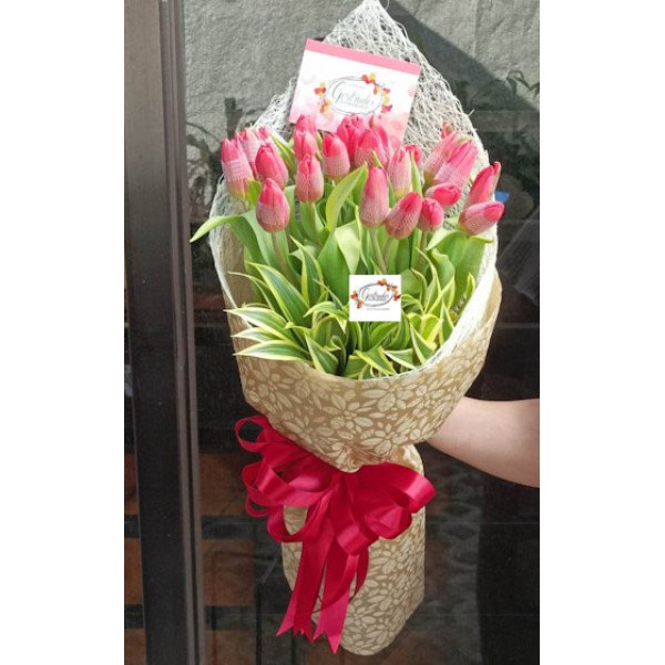 TULIPS-18
