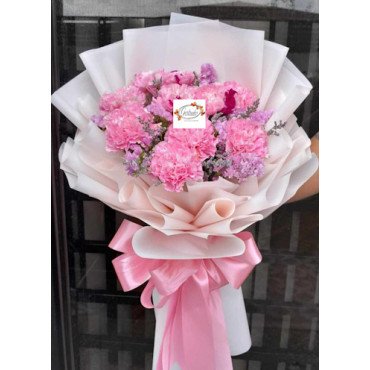 CARNATION PINK 1...