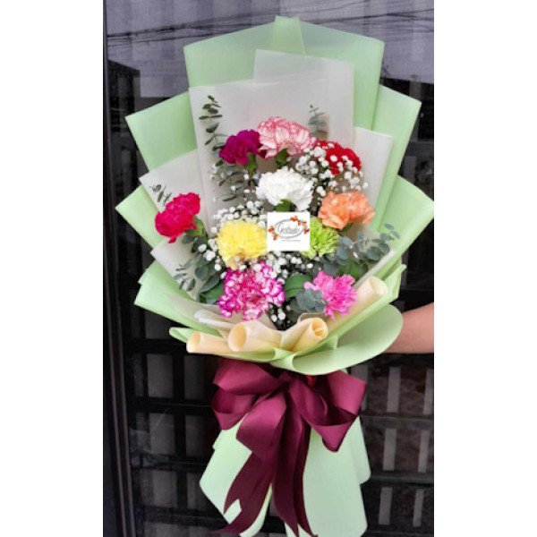 CARNATION-MIX1