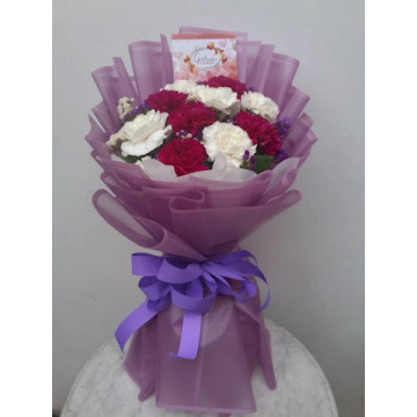 CARNATION-10