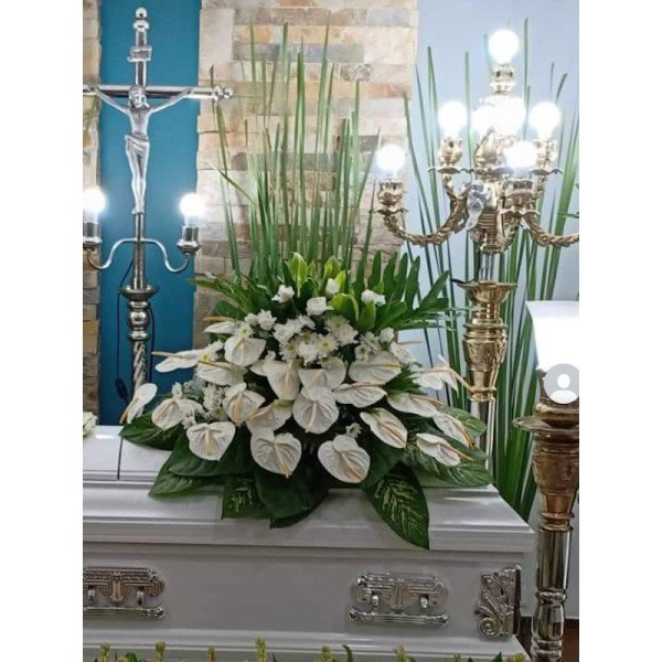 CASKET-TOP6