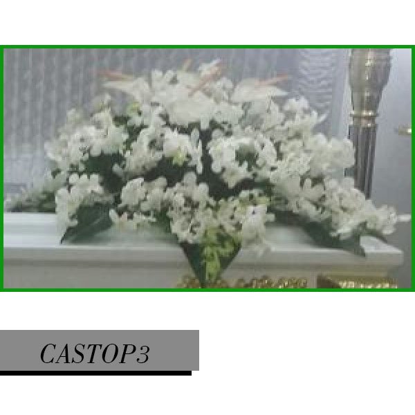CASTOP3
