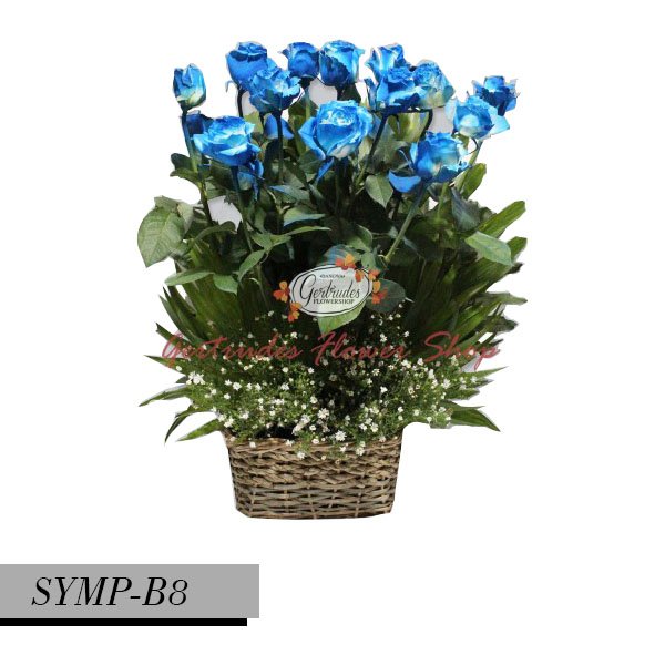 SYMP-B9