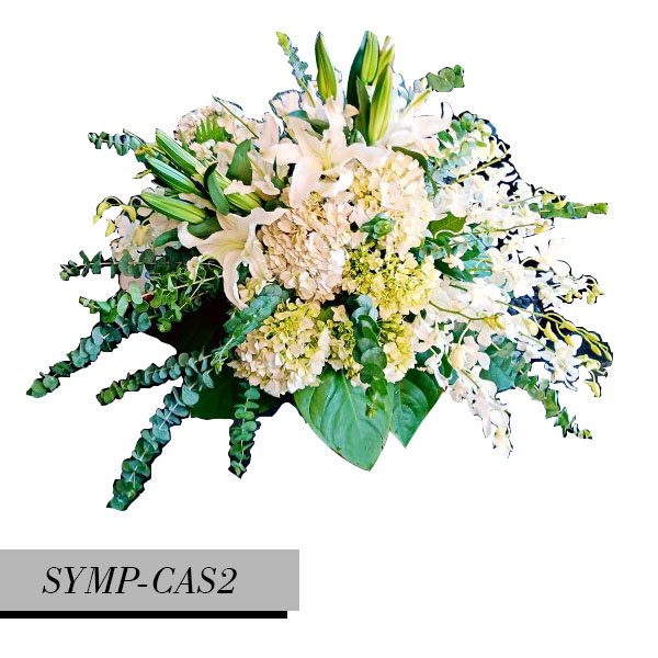 SYMP-CAS2