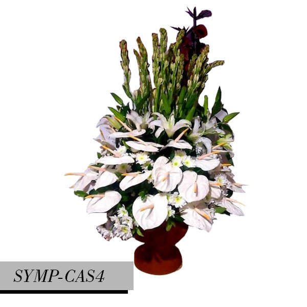 SYMP-CAS4