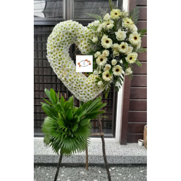 SYMP-HEART31
