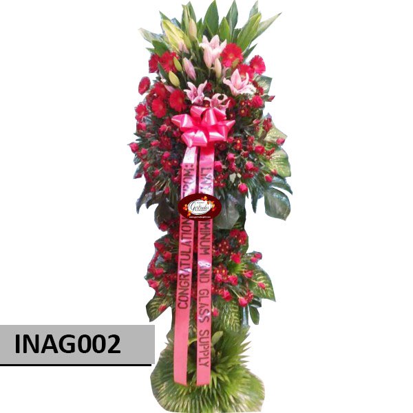 INAG002