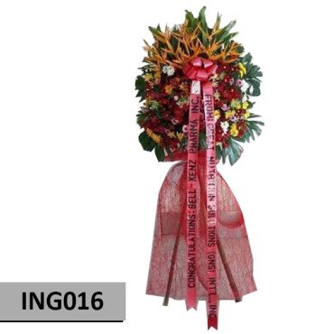 INAG016...