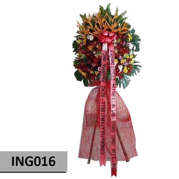 INAG016