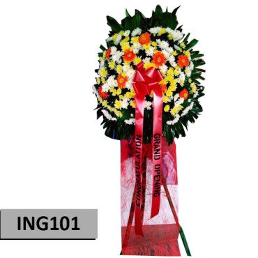 INAG101...