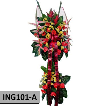 INAG101-A...