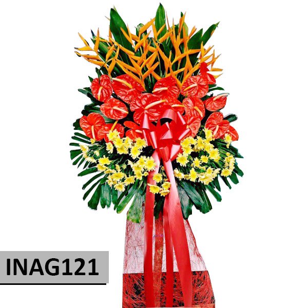 INAG121