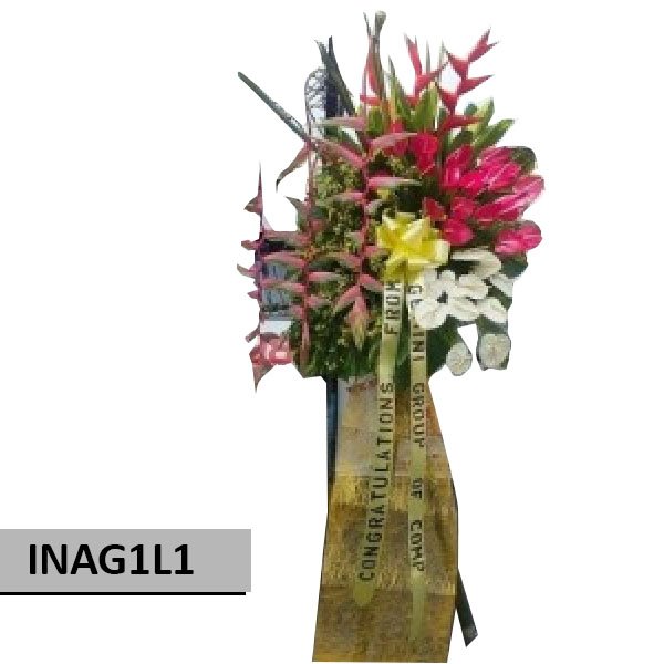 INAG1L1
