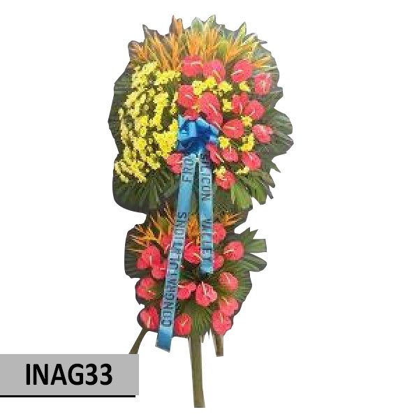 INAG33