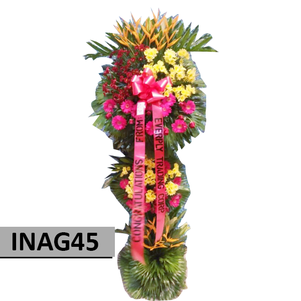 INAG45
