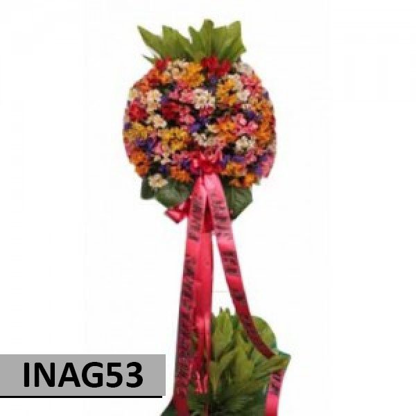 INAG53
