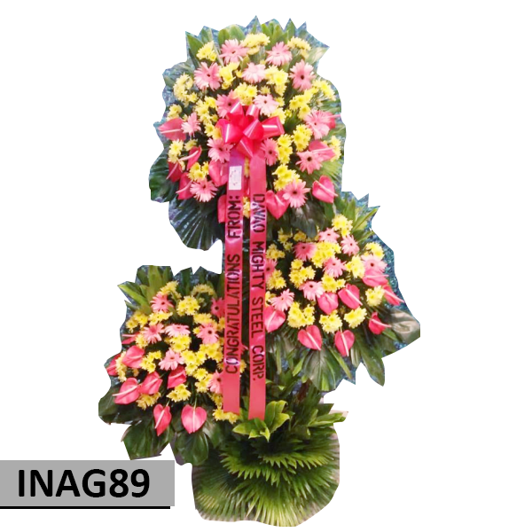 INAG89