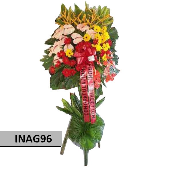 INAG96