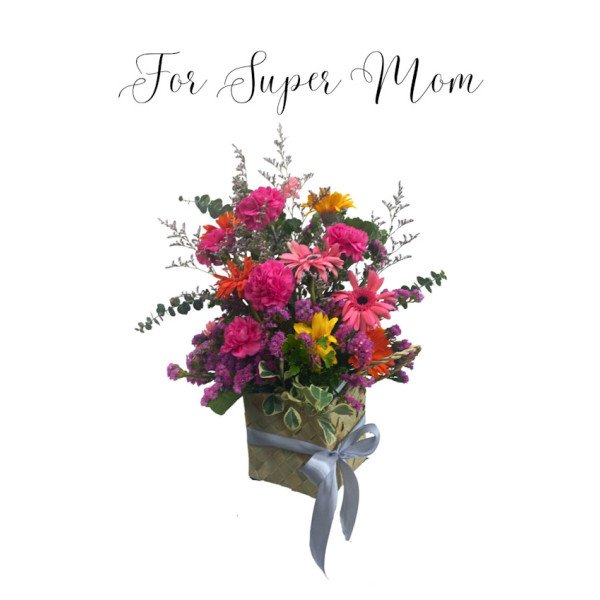 SUPERMOM-4