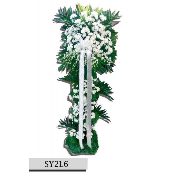 SY2L6
