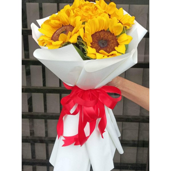 SUNFLOWER 6