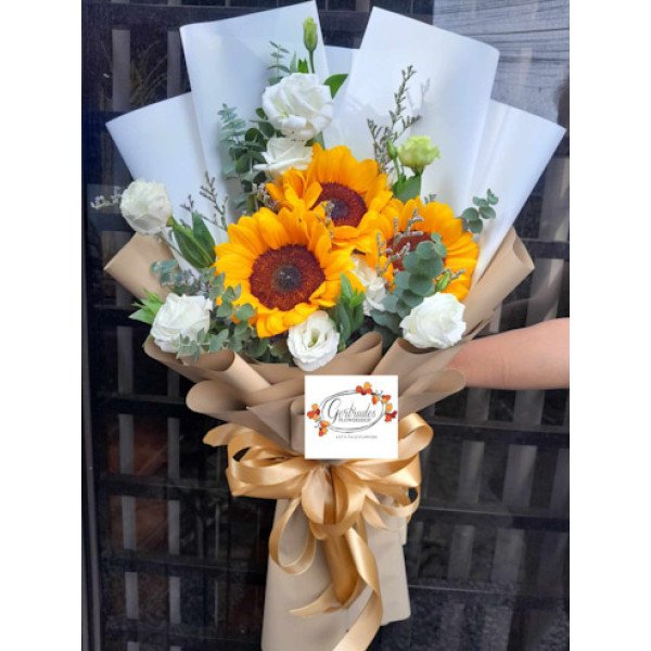 SUNFLOWER 20