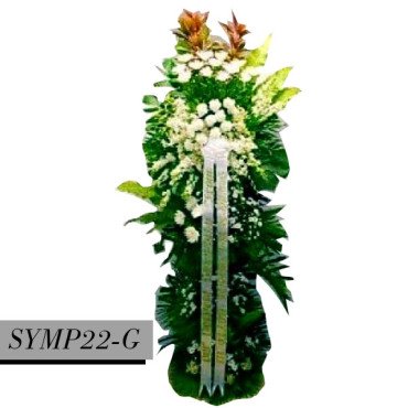 SYMP22-G...