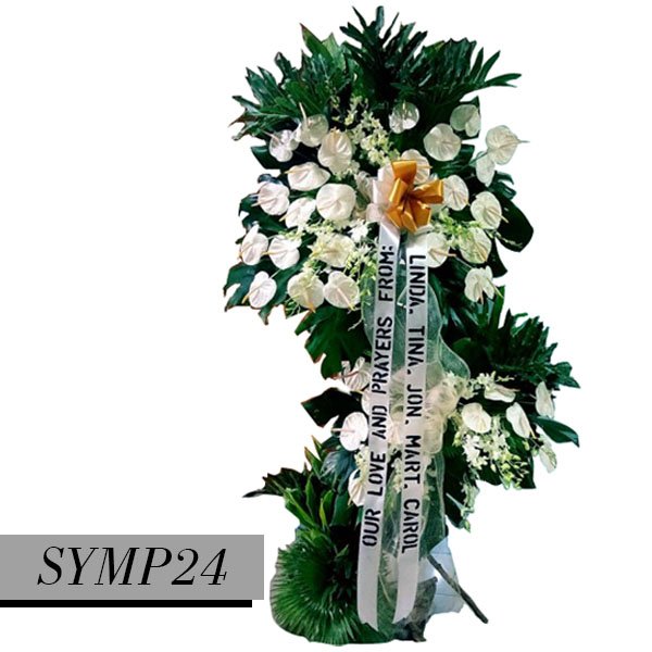 SYMP24