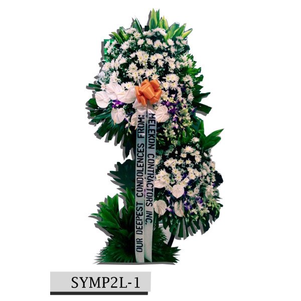 SYMP2L-1