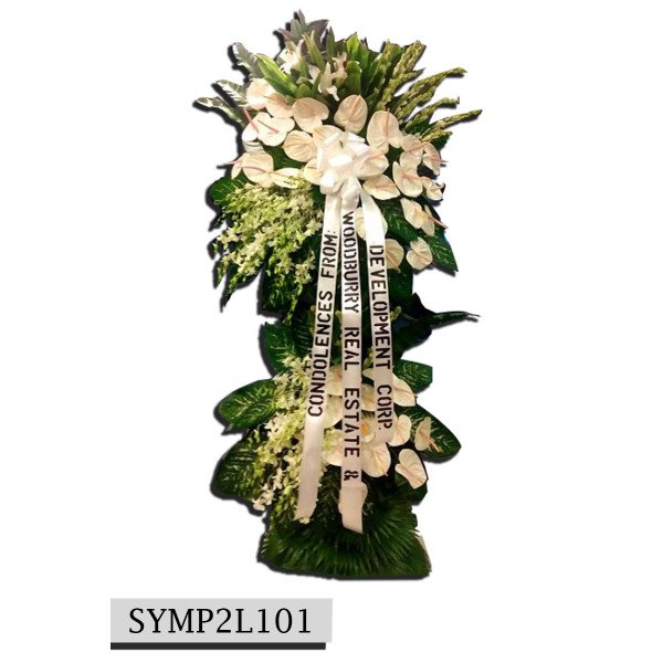 SYMP2L101