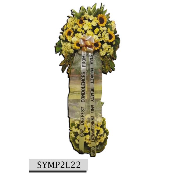 SYMP2L22