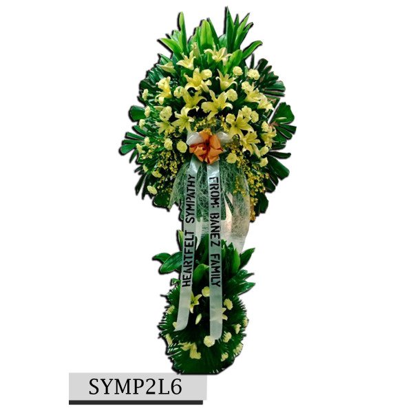 SYMP2L6
