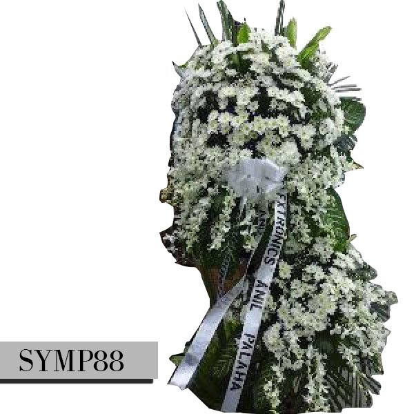 SYMP91