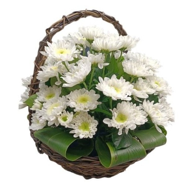 BASKET-ALLWHITE1