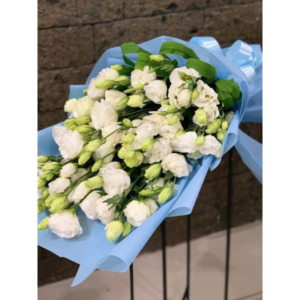 VAL-LISIANTHUS1