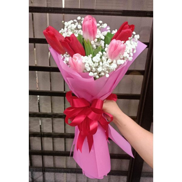 VAL-TULIPS3