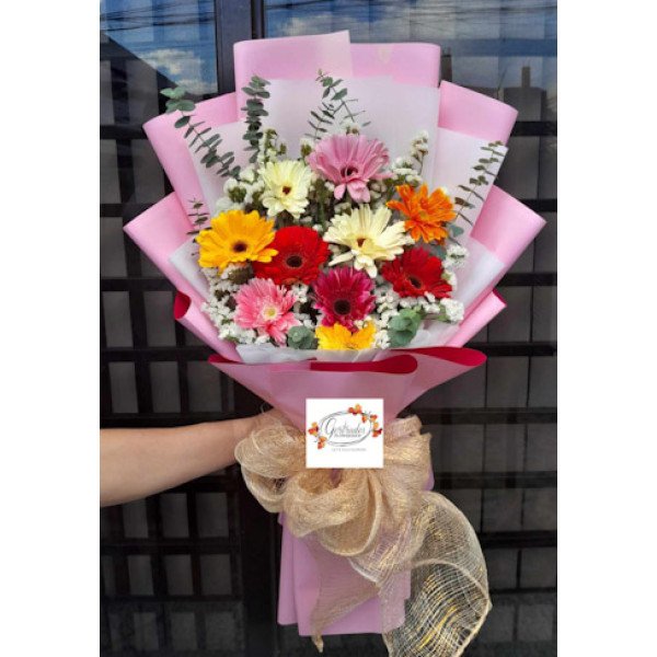 GERBERAS-10
