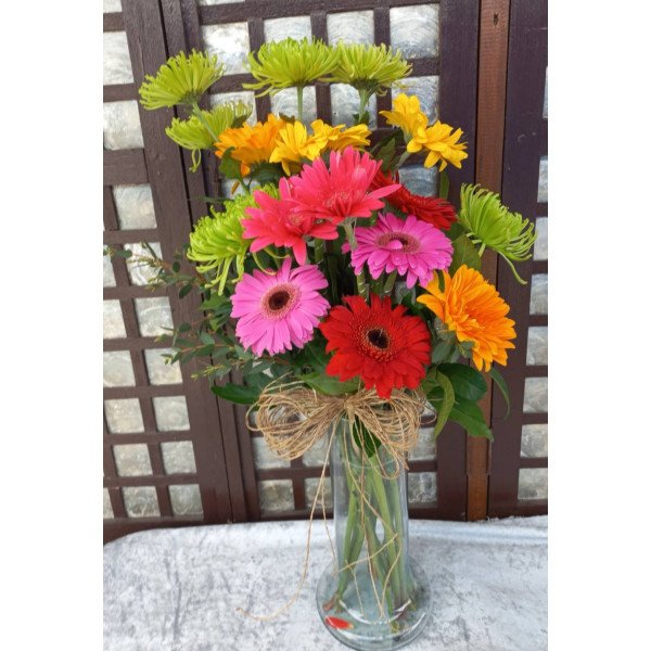 VASE-22