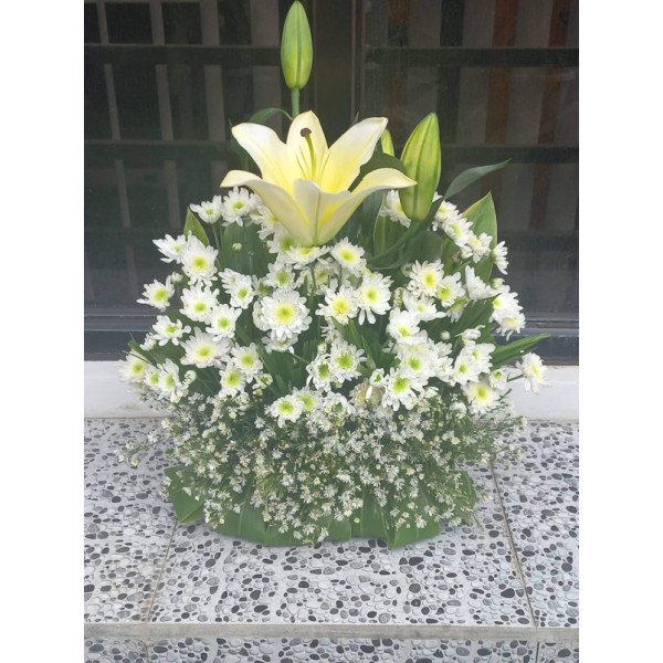BASKET-A6