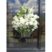 VASE-28...